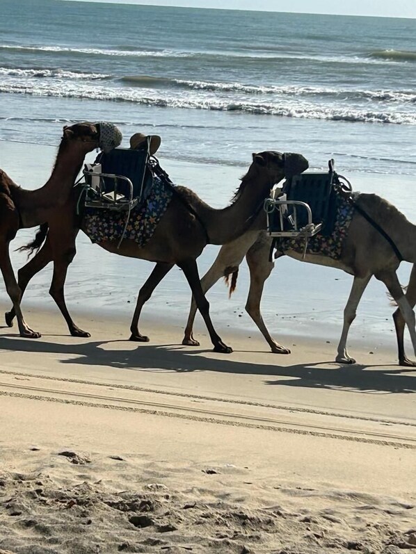 Horse riding