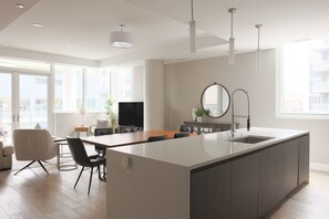 Interior - Luxury Loft Collection 02 - Terrace - River North (Chicago)