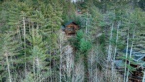 Una cabana envoltada per un bosc dens, amb un balcó visible i diverses finestres.
