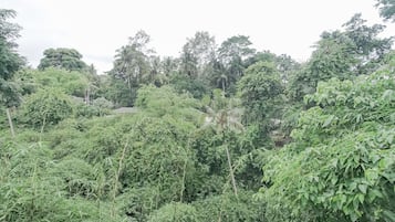 Deluxe Room Balcony with Jungle View | 客房景觀