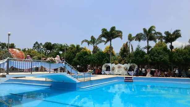 A swimming pool with a blue deck, surrounded by palm trees and a covered seating area.