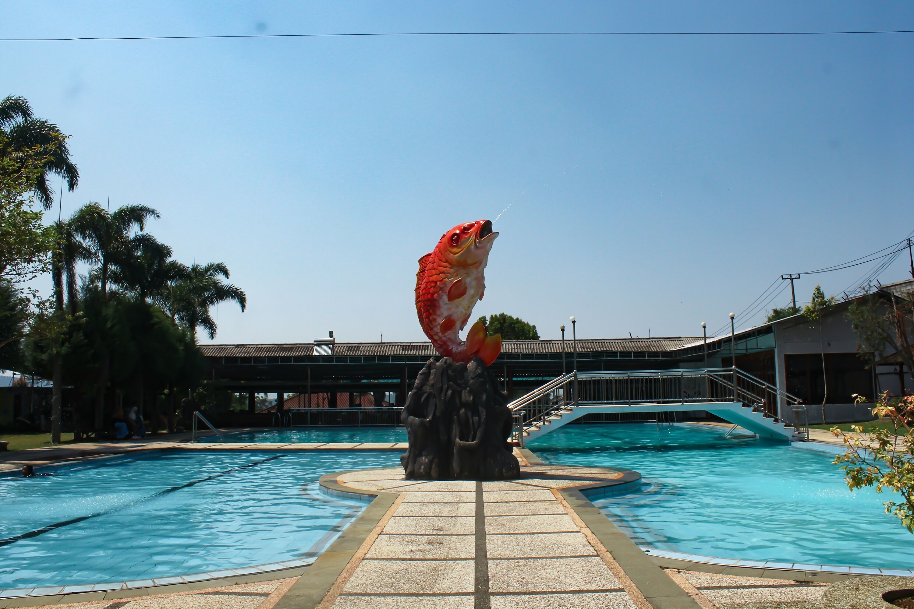 Una piscina con una gran escultura de pez en el centro, rodeada de palmeras y un edificio al fondo.