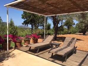 Jardines del alojamiento