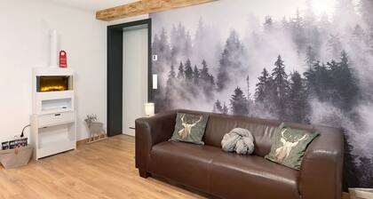 Einzimmerapartment 'Schwarzwald Chalet Achern' mit WLAN