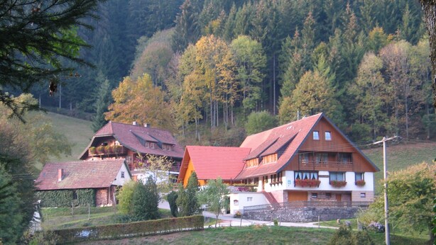 Un bâtiment de style chalet traditionnel, doté d’un toit à forte pente, entouré d’une végétation luxuriante et d’arbres.