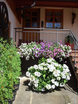 A building with a balcony, potted plants, and a staircase. - Apartment 3 in Farmhouse with Shared Terrace, Garden, and Wi-Fi (Bad Rippoldsau-Schapbach)