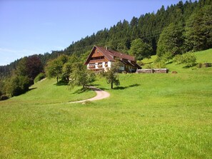 Exterior - Apartment 3 in Farmhouse with Shared Terrace, Garden, and Wi-Fi (Bad Rippoldsau-Schapbach)