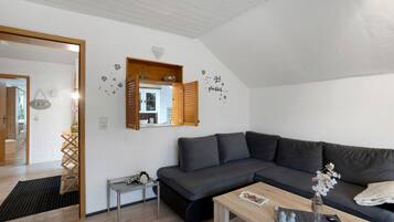 Fernseher, Stereoanlage
