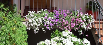 Appartement 'Ferienwohnung 1 Im Bauernhaus' met gedeeld terras, gedeelde tuin en Wi-Fi