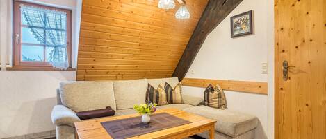 Fernseher, Tischtennisplatte