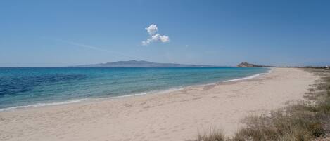 Playa en los alrededores