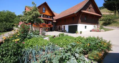Apartment 'Ferienwohnung Kasimir Hof' with Mountain View, Shared Garden and Wi-Fi