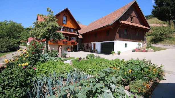 Una casa tradicional de madera con techo inclinado, un balcón y un jardín bien cuidado con diversas plantas y flores.