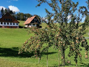 Property grounds - Apartment 'Falkennest' with Mountain View, Shared Garden and Wi-Fi (Wolfach)