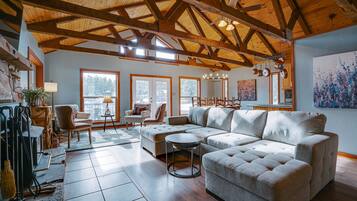 TV, fireplace, books