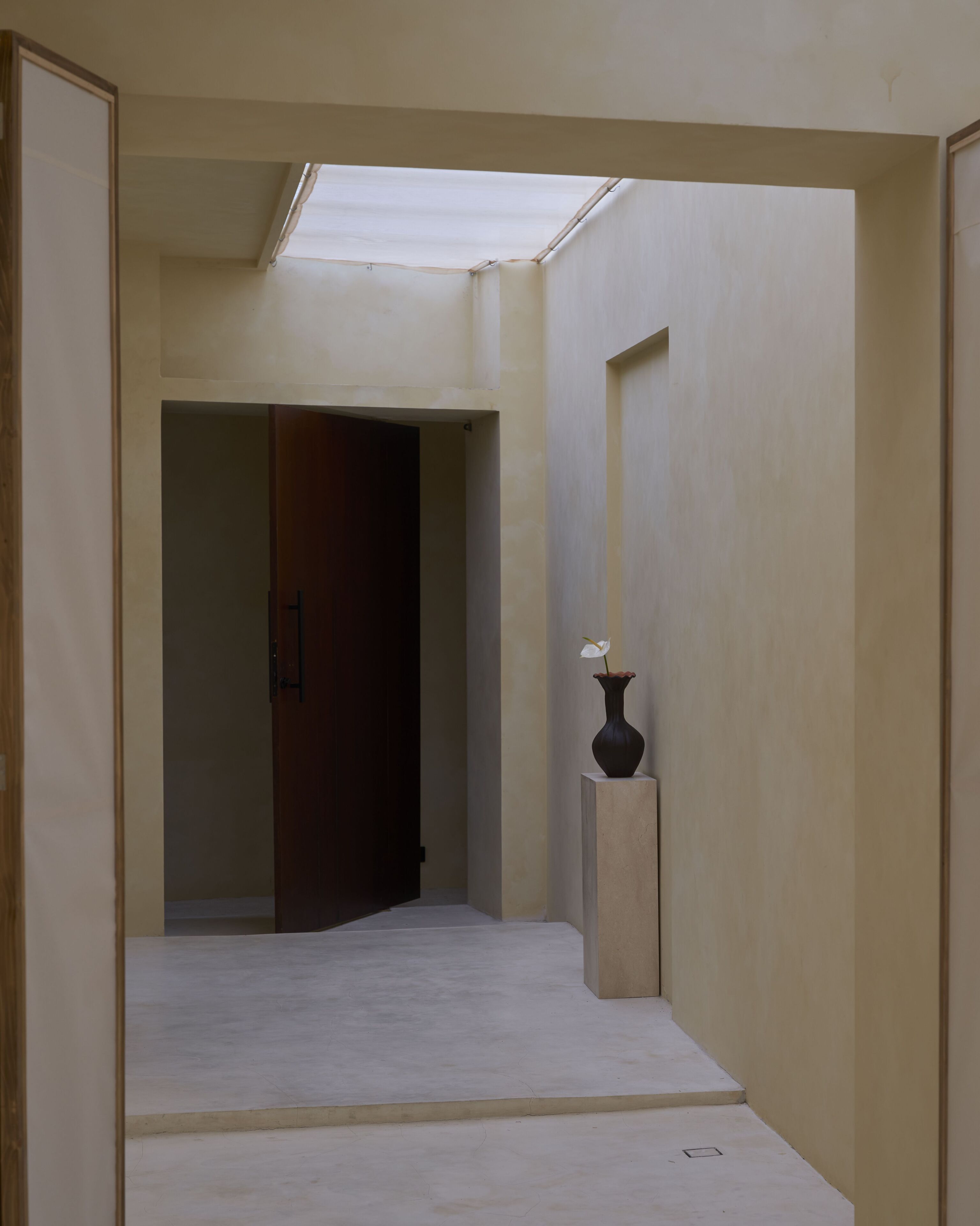 A narrow hallway with a skylight, a wooden door, and a vase on a pedestal.