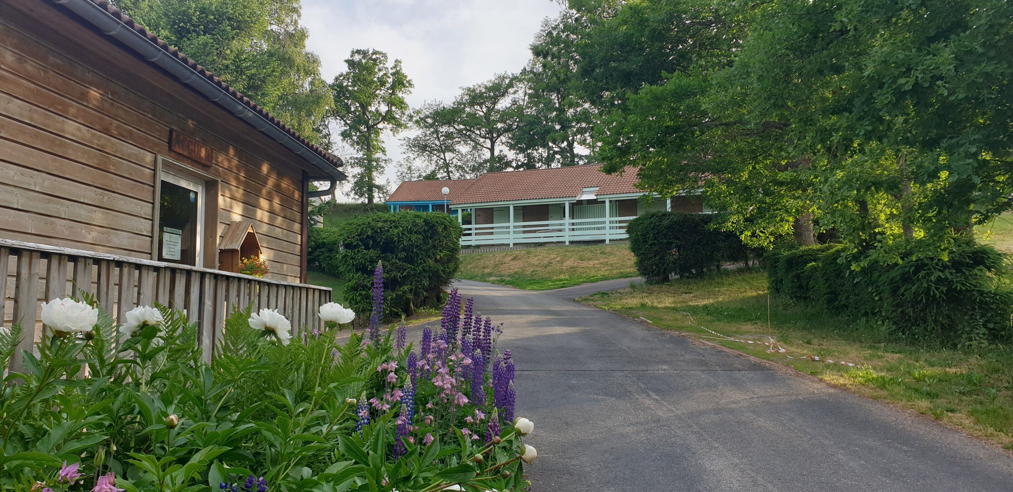 A wooden building with a porch, a road leading to another building, and lush greenery.