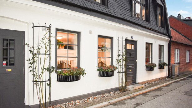 A white building with black-framed windows, a dark door, and potted plants.