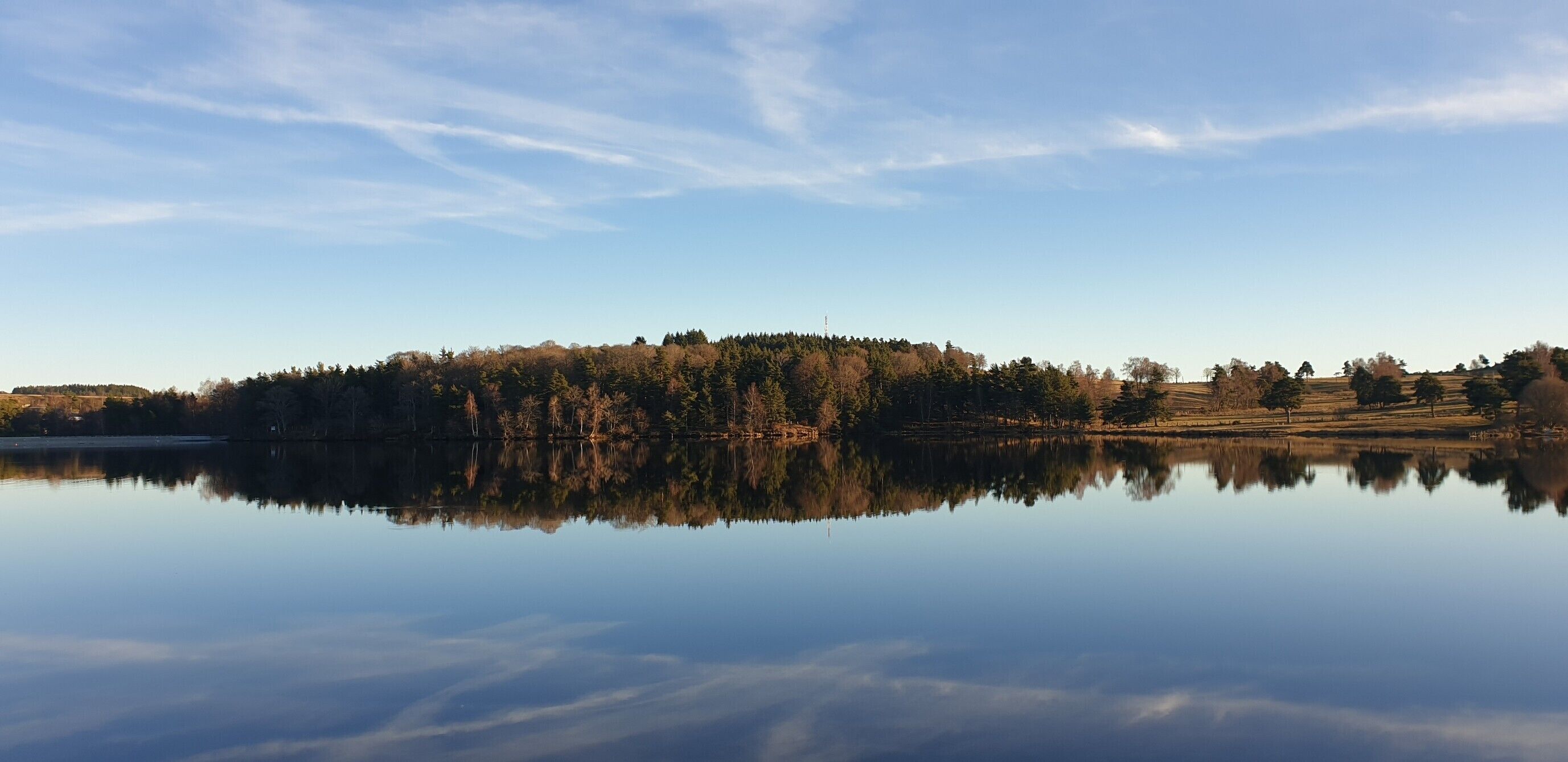 Un lago tranquilo con una isla boscosa y cielo despejado.