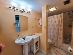 Shower, hair dryer, towels