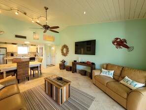 تلفزيون، مشغل دي في دي