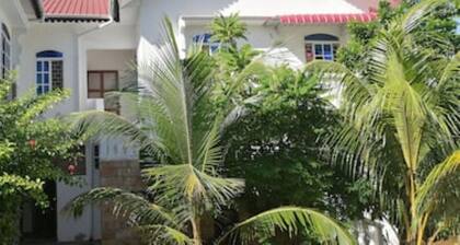 Top view villa