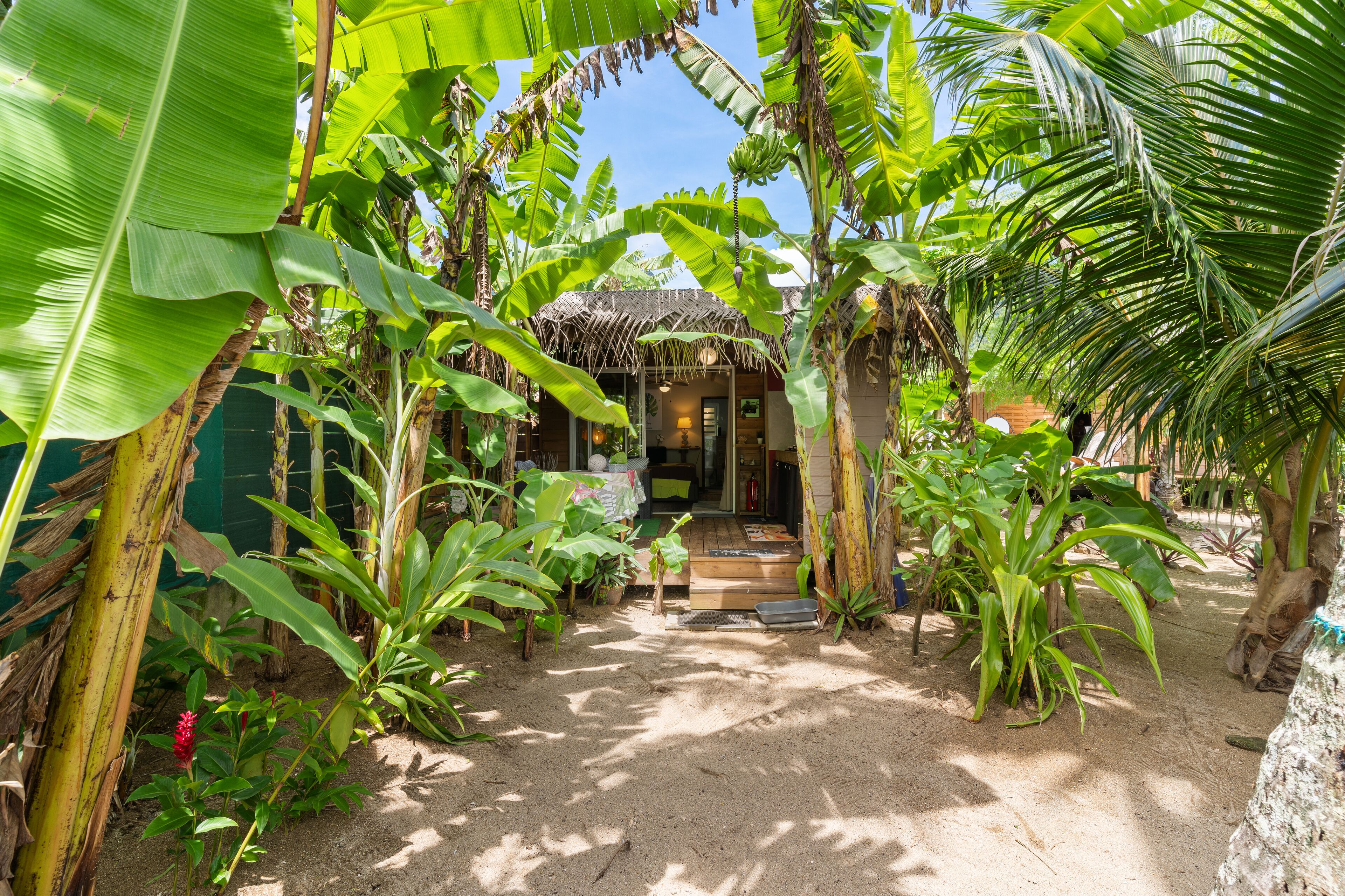 Bungalow estándar | Terraza o patio