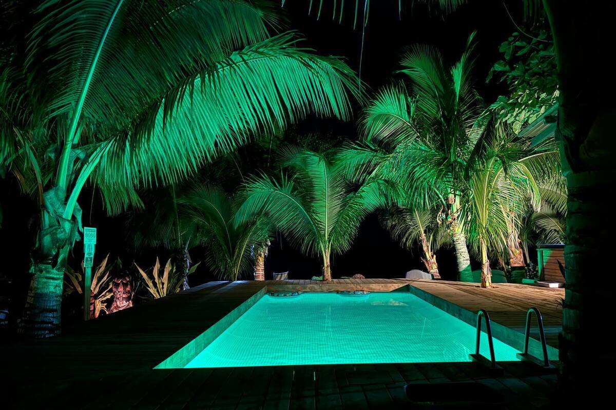 A swimming pool surrounded by palm trees at night.