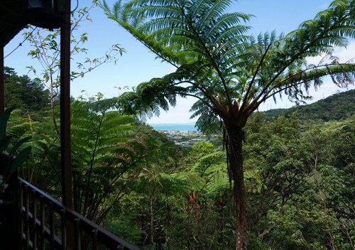 Starlight Hostel Endeavour