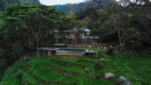 Une maison entourée d’une végétation luxuriante et de champs en terrasses.