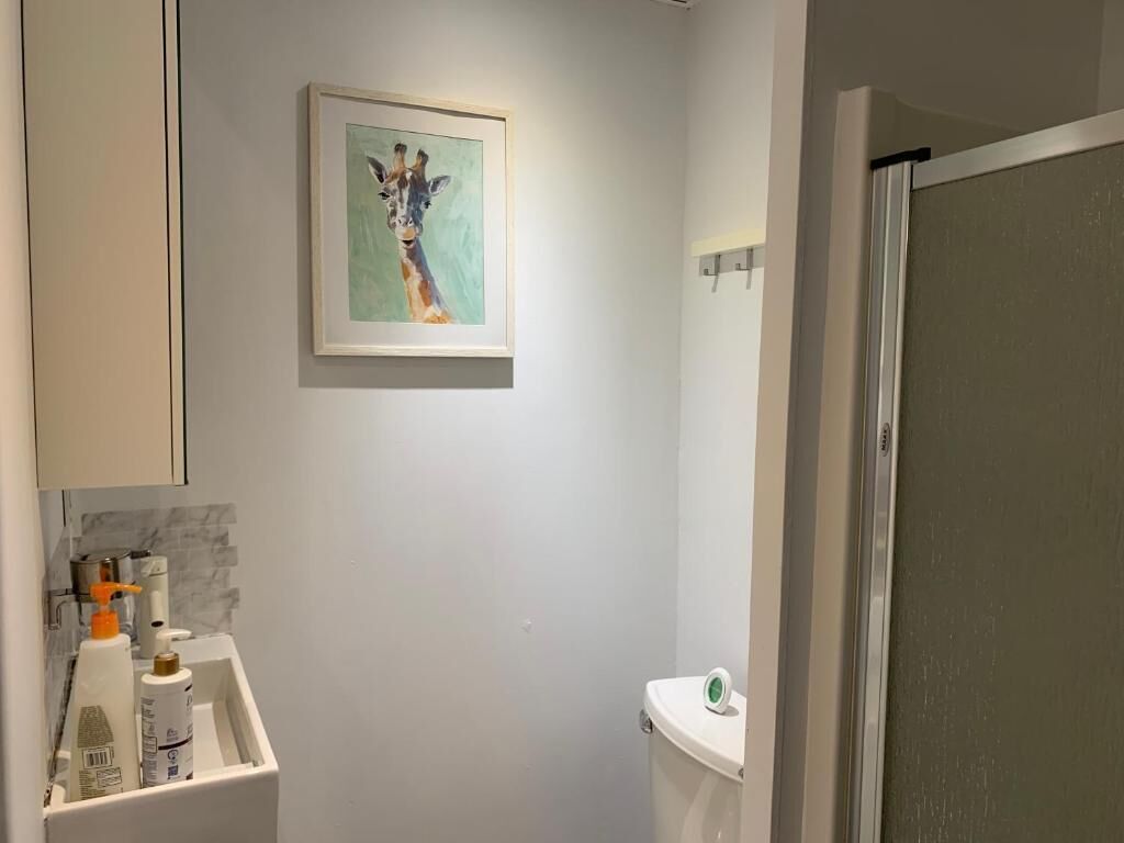 Une salle de bain équipée de toilettes, d’un lavabo avec des articles de toilette et d’un tableau encadré au mur.