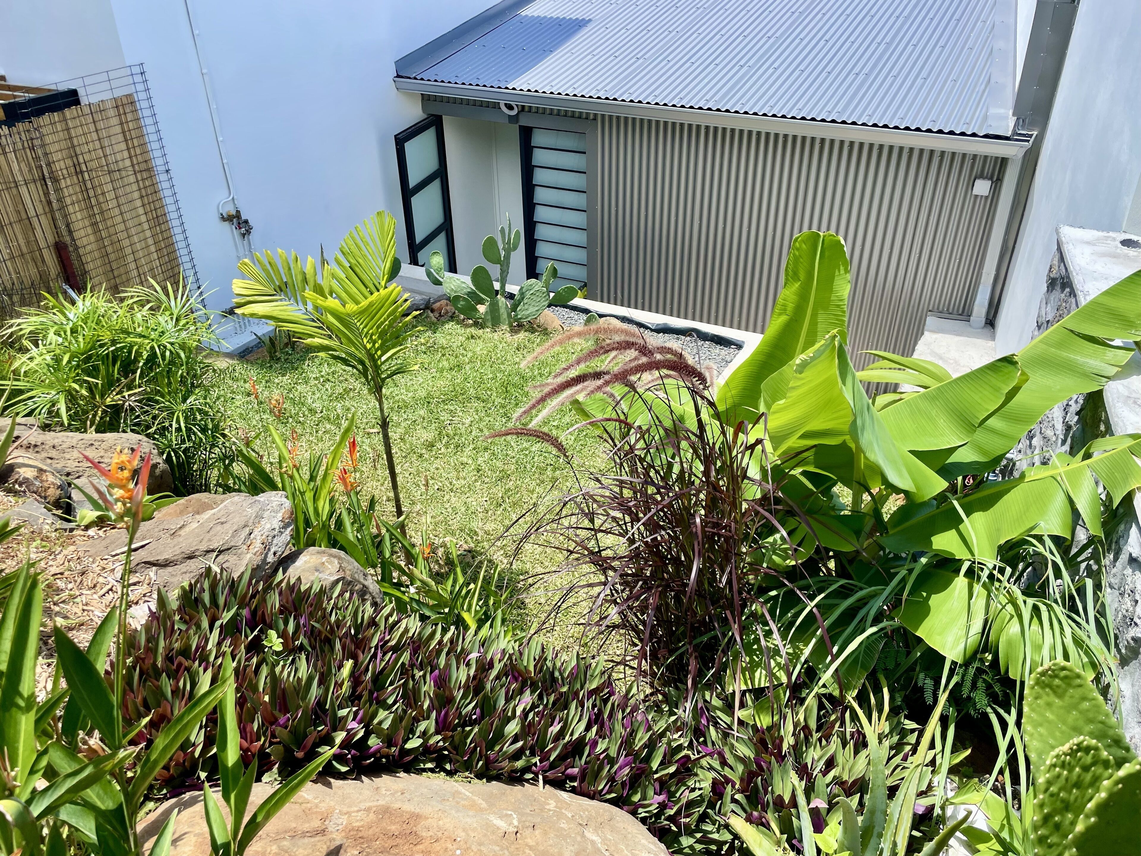 Un jardin bien entretenu, agrémenté de diverses plantes et d’une petite pelouse devant un bâtiment dont le toit est fait de tôles ondulées.