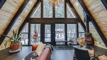 TV, fireplace, books