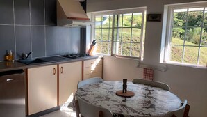 Una cocina con estufa a gas, pileta y ventana con vista a un jardín.