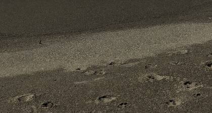 Very cozy, clean, close to Bob Marley Beach, Cane River Falls & close to airport