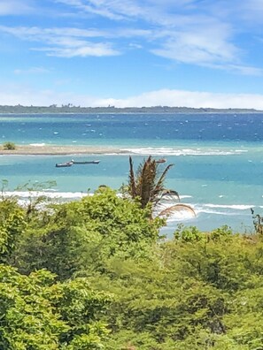 A coastal view with a beach, ocean, and some greenery in the foreground.