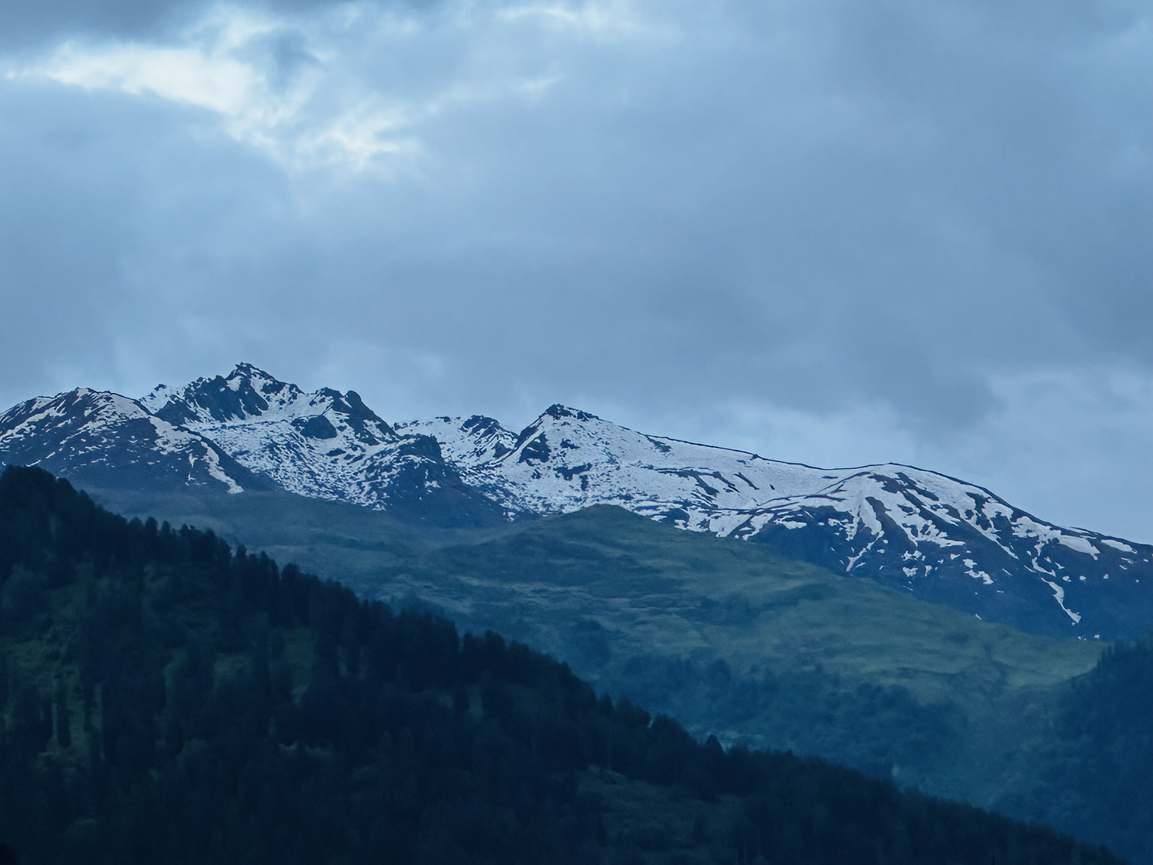 Una cordillera con picos nevados y un valle cubierto de bosque.
