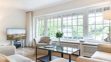 Fernseher, Stereoanlage