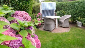 A garden with a table and chairs, surrounded by hedges and flowering plants. - Dieses Friesische Domizil Befindet Sich in Ruhiger Lage im Ortsteil Keitum (Sylt / OT Keitum)