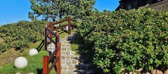 Wattblick Reet Dünenlage