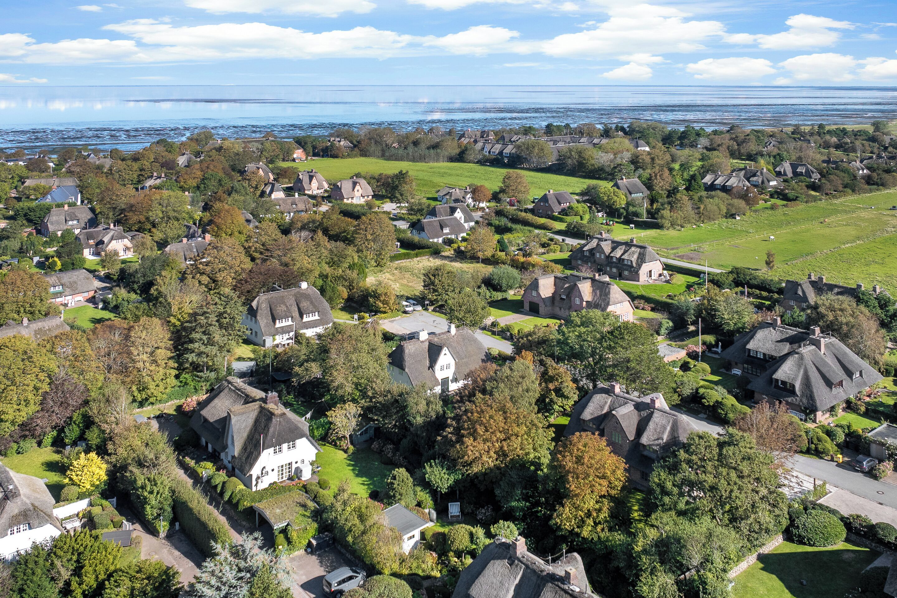 Van bovenaf een woonwijk met huizen, groenstroken en een waterpartij op de achtergrond.