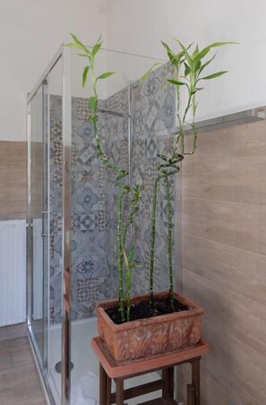 Shower, bidet, towels - Apartment with terrace overlooking the Vatican (Roma)