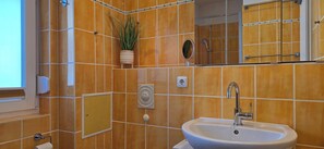 Shower, hair dryer