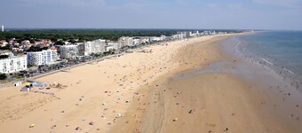 Renovated House Near Forest, 600m to Beach/Shops, Dog Friendly