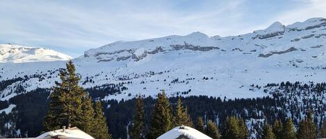 Terrain de lâhĂ©bergement
