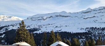 Bright Chalet in Flaine with garage and large living room