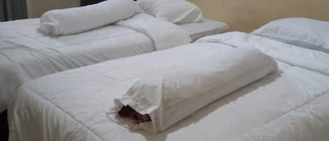 Economy Twin Room | In-room safe, free WiFi, bed sheets