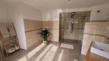Shower, towels, soap, toilet paper