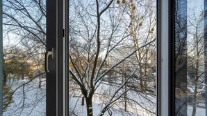 Una ventana con vistas a un paisaje nevado y árboles desnudados.