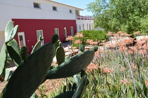 Exterior detail - 1-Bedroom apartment "Oliveira" – Pool view (2 + 2) (Mesquita)